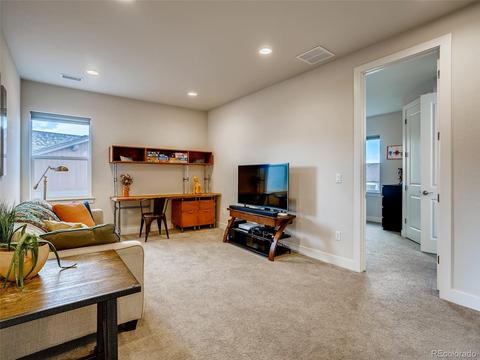 9458 Gore Loop, Arvada, CO 80007 photo 23