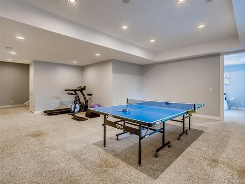 9458 Gore Loop, Arvada, CO 80007 photo 32