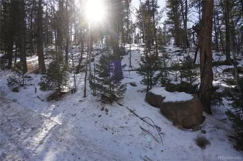 313 Crystal Peak Rd, Florissant, CO 80816