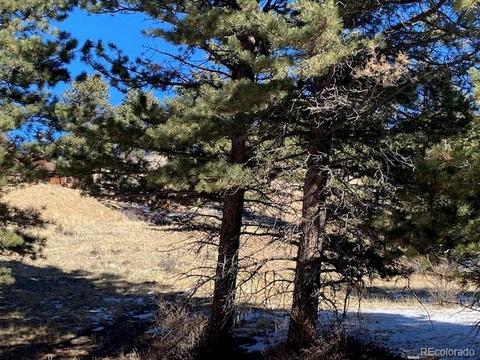 156 E Cline Dr, Shawnee, CO 80475 photo 5