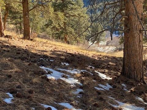 156 E Cline Dr, Shawnee, CO 80475 photo 6