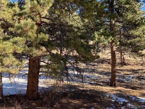 156 E Cline Dr, Shawnee, CO 80475 photo 8