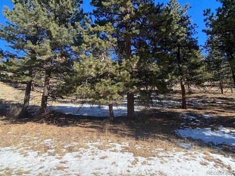 156 E Cline Dr, Shawnee, CO 80475 photo 9