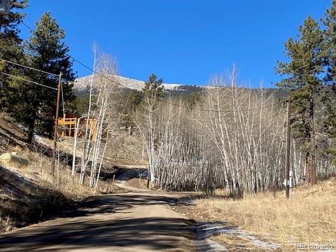 156 E Cline Dr, Shawnee, CO 80475 photo 2