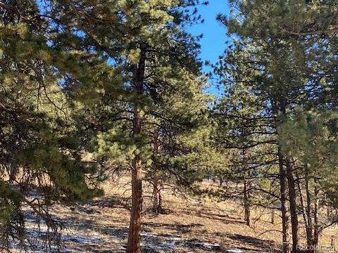 156 E Cline Dr, Shawnee, CO 80475 photo 3