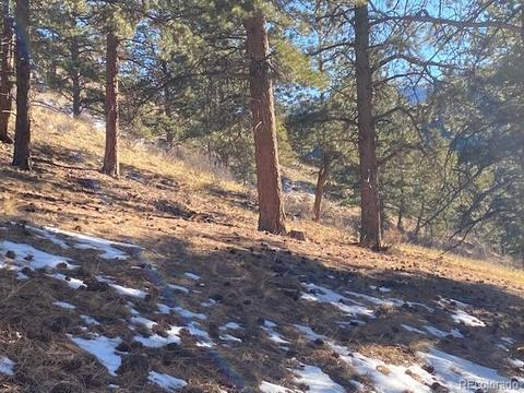 156 E Cline Dr, Shawnee, CO 80475 photo 7