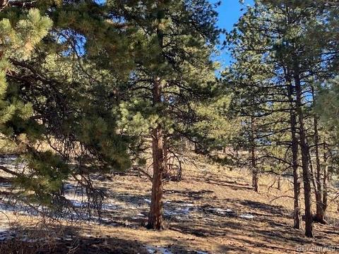 156 E Cline Dr, Shawnee, CO 80475 photo 1