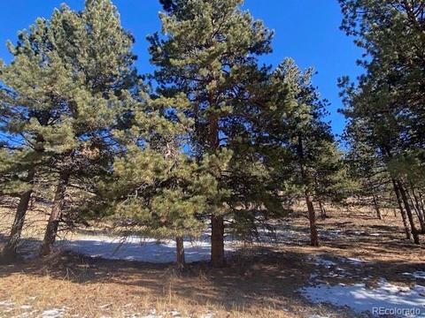 156 E Cline Dr, Shawnee, CO 80475 photo 4