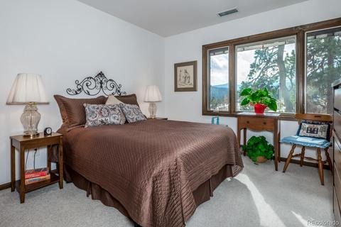 20385 Flint Ln, Morrison, CO 80465 photo 9