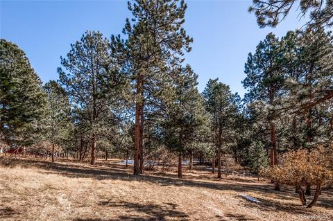 20385 Flint Ln, Morrison, CO 80465 photo 15