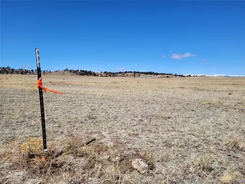 Cusabo Road, Hartsel, CO 80449 photo 6