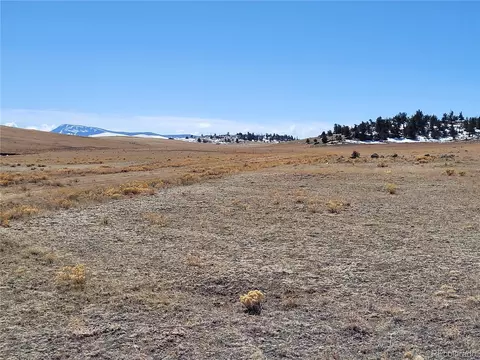 Cusabo Road, Hartsel, CO 80449 photo 3