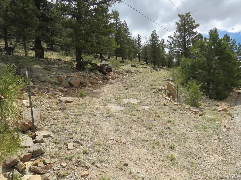  2120 Bonell Dr, Fairplay, CO 80440 photo 5