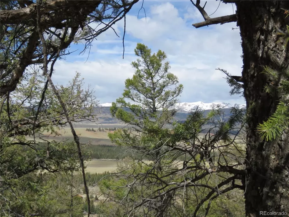  2120 Bonell Dr, Fairplay, CO 80440 photo 15