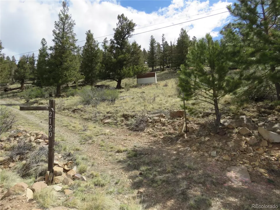  2120 Bonell Dr, Fairplay, CO 80440 photo 2