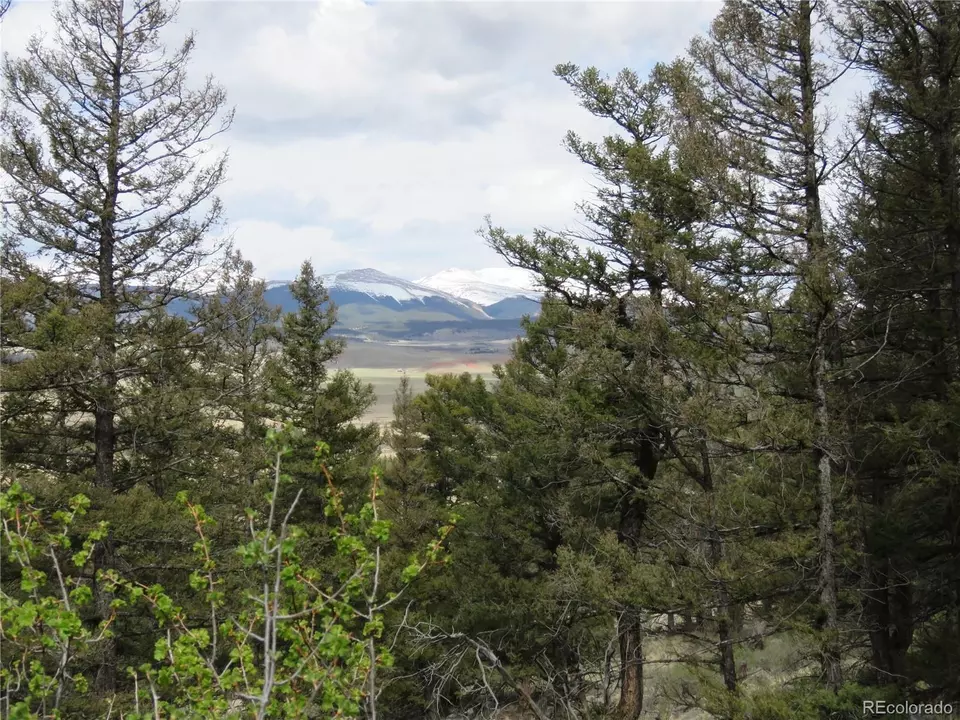  2120 Bonell Dr, Fairplay, CO 80440 photo 17