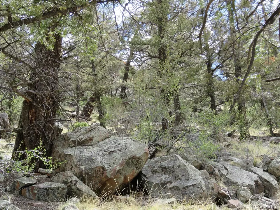  2120 Bonell Dr, Fairplay, CO 80440 photo 13