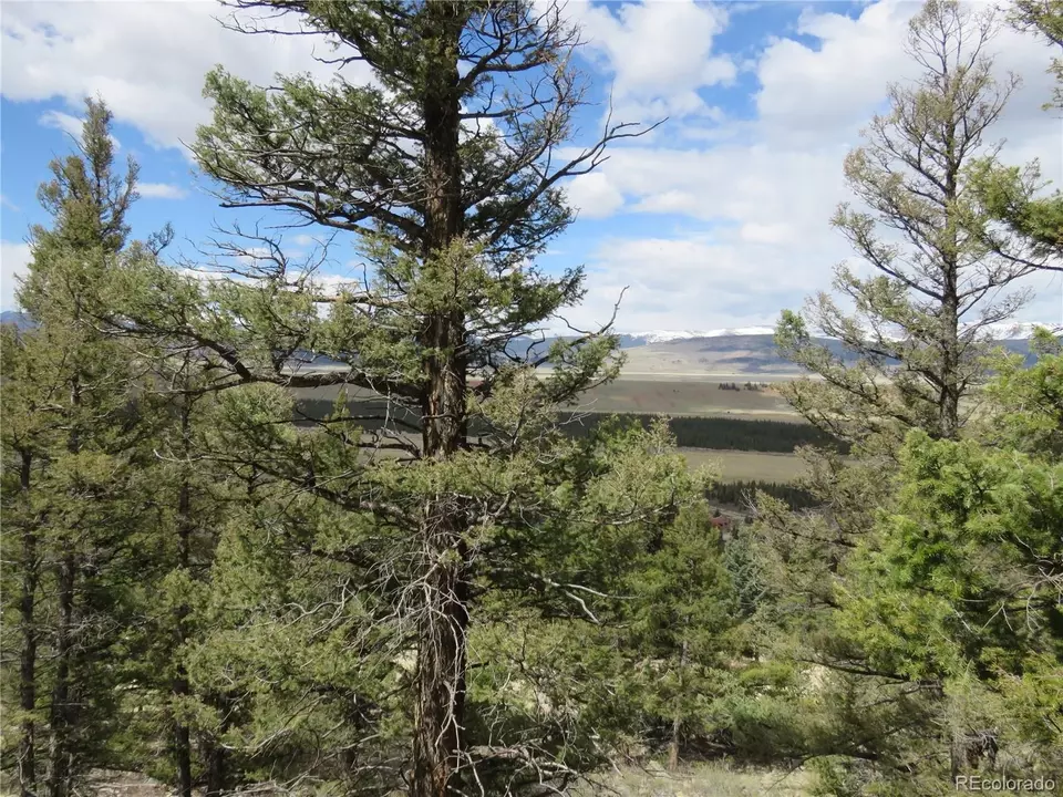  2120 Bonell Dr, Fairplay, CO 80440 photo 16