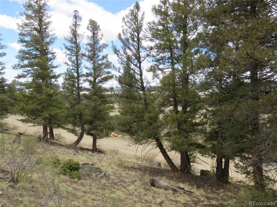  2120 Bonell Dr, Fairplay, CO 80440 photo 21