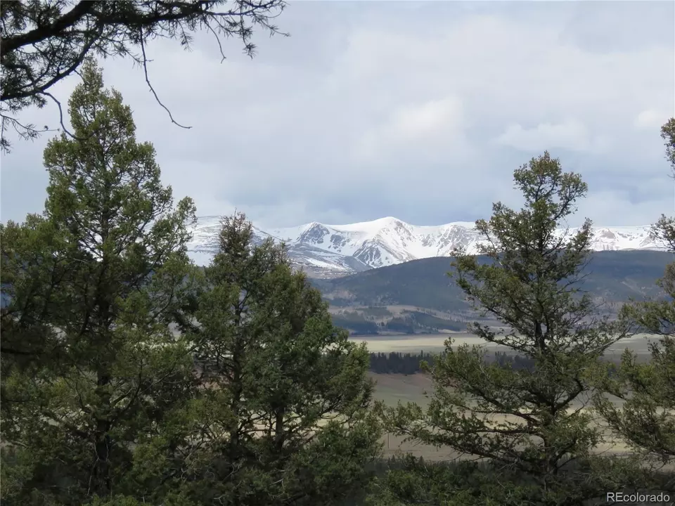  2120 Bonell Dr, Fairplay, CO 80440 photo 10