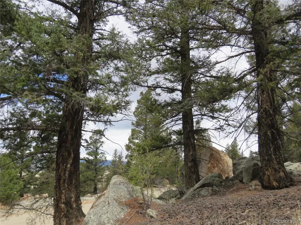  2120 Bonell Dr, Fairplay, CO 80440 photo 1