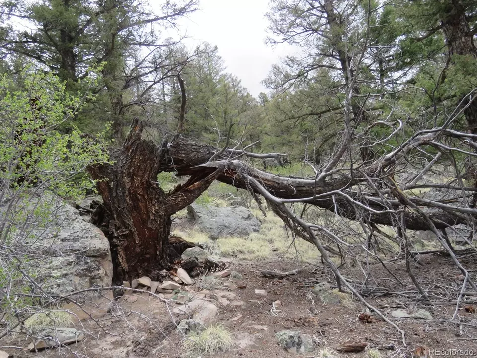  2120 Bonell Dr, Fairplay, CO 80440 photo 18