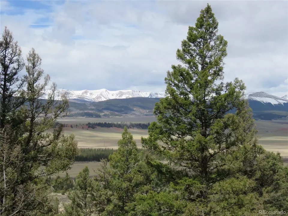  2120 Bonell Dr, Fairplay, CO 80440 photo 9