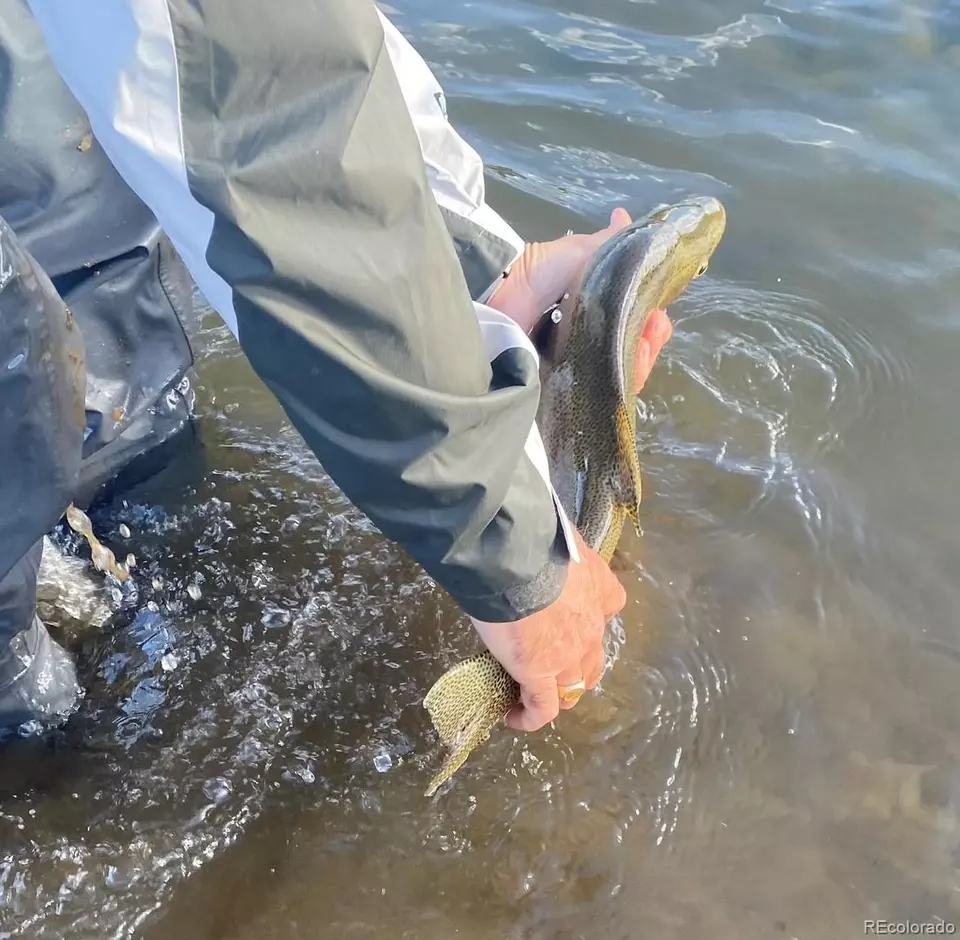  2120 Bonell Dr, Fairplay, CO 80440 photo 22