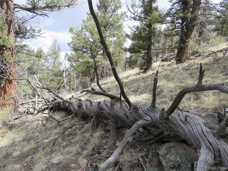  2120 Bonell Dr, Fairplay, CO 80440 photo 20