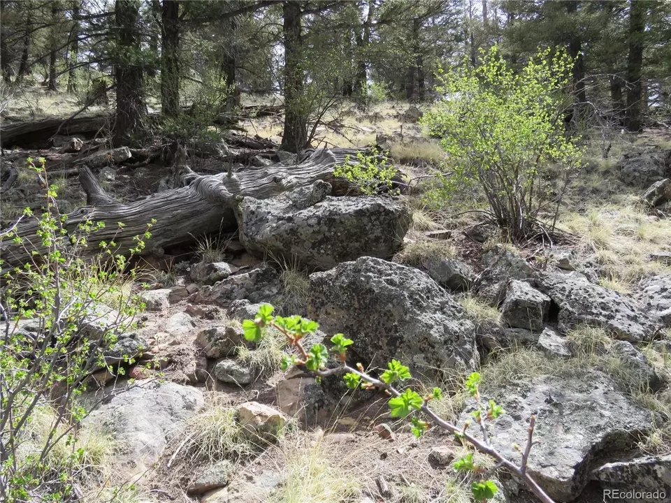  2120 Bonell Dr, Fairplay, CO 80440 photo 14