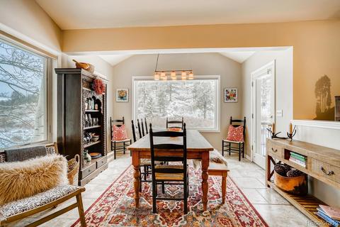 520 Meadow Dr, Pine, CO 80470 photo 20