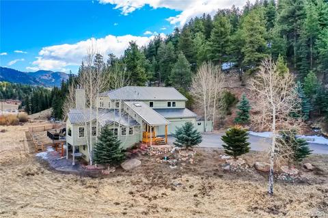 520 Meadow Dr, Pine, CO 80470 photo 3