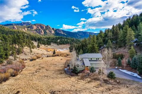 520 Meadow Dr, Pine, CO 80470 photo 6