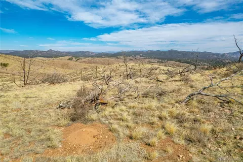 31 St Trl, Cotopaxi, CO 81223 photo 7