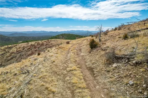 31 St Trl, Cotopaxi, CO 81223 photo 19