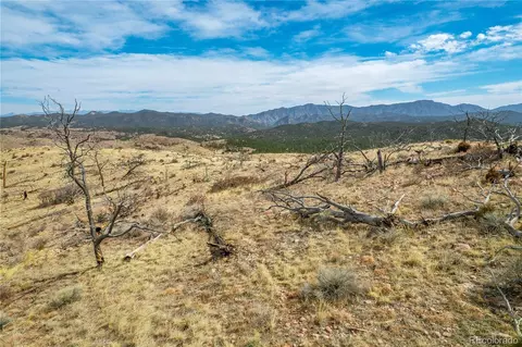 31 St Trl, Cotopaxi, CO 81223 photo 8