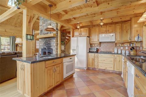 117 Road P-63, Bailey, CO 80421 photo 6