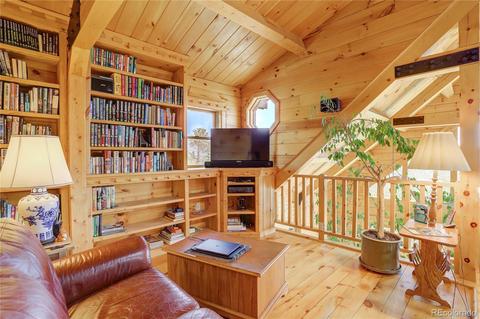 117 Road P-63, Bailey, CO 80421 photo 12