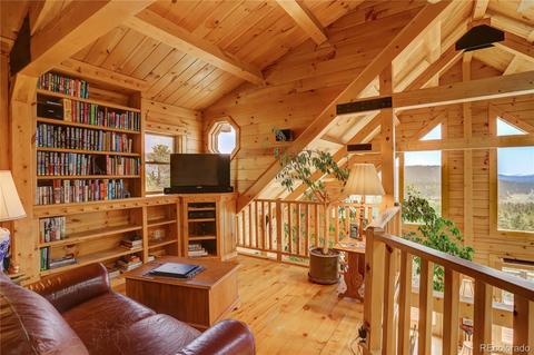 117 Road P-63, Bailey, CO 80421 photo 11