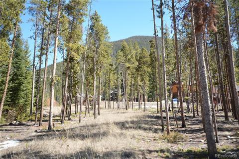 99 Independence Ln, Dillon, CO 80435 photo 1