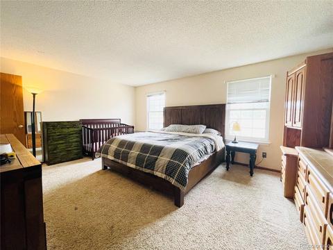 4325 E 93rd Dr, Thornton, CO 80229 photo 10