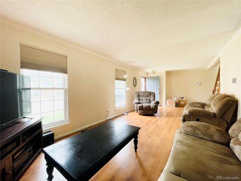 4325 E 93rd Dr, Thornton, CO 80229 photo 3