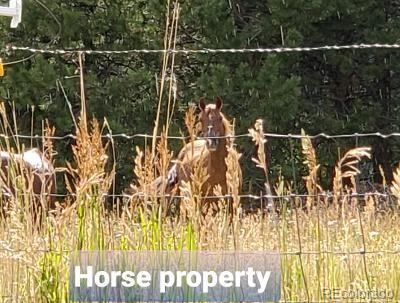 9079 Hillview Rd, Morrison, CO 80465 photo 6