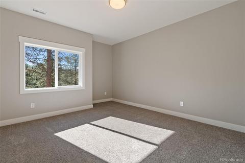 6726 Valley Cir, Morrison, CO 80465 photo 23