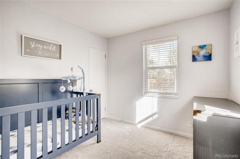 3068 Eudora St, Denver, CO 80207 photo 19