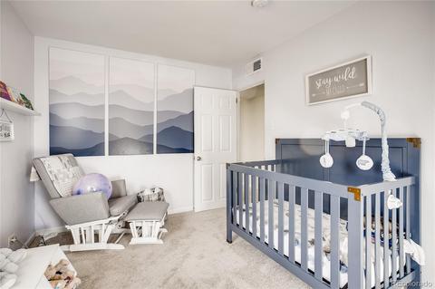 3068 Eudora St, Denver, CO 80207 photo 20