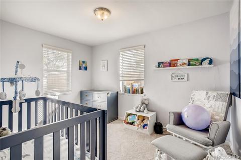 3068 Eudora St, Denver, CO 80207 photo 21