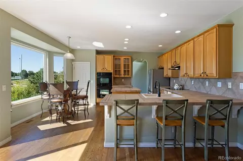 17538 E Pondlilly Dr, Parker, CO 80134 photo 5