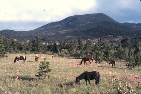 47 Royal Ct, Bailey, CO 80421 photo 12