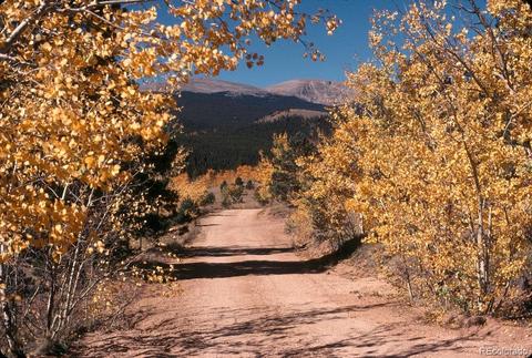 47 Royal Ct, Bailey, CO 80421 photo 28